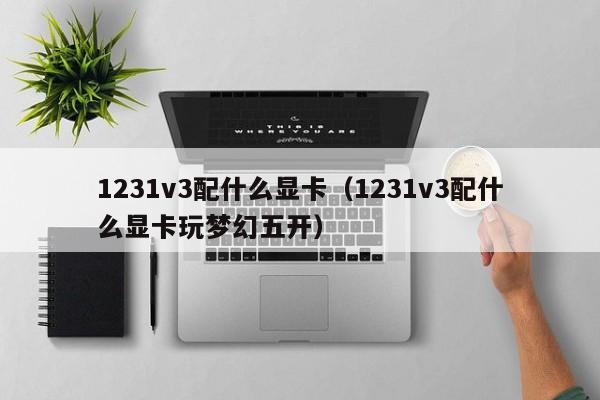 1231v3配什么显卡（1231v3配什么显卡玩梦幻五开）